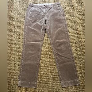 Massimo Alba Italian Velvet Pant